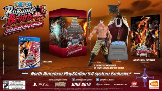 One Piece - Burning Blood édition collector