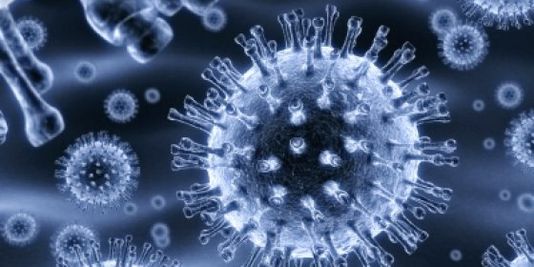 Pandemia virus de la grippe