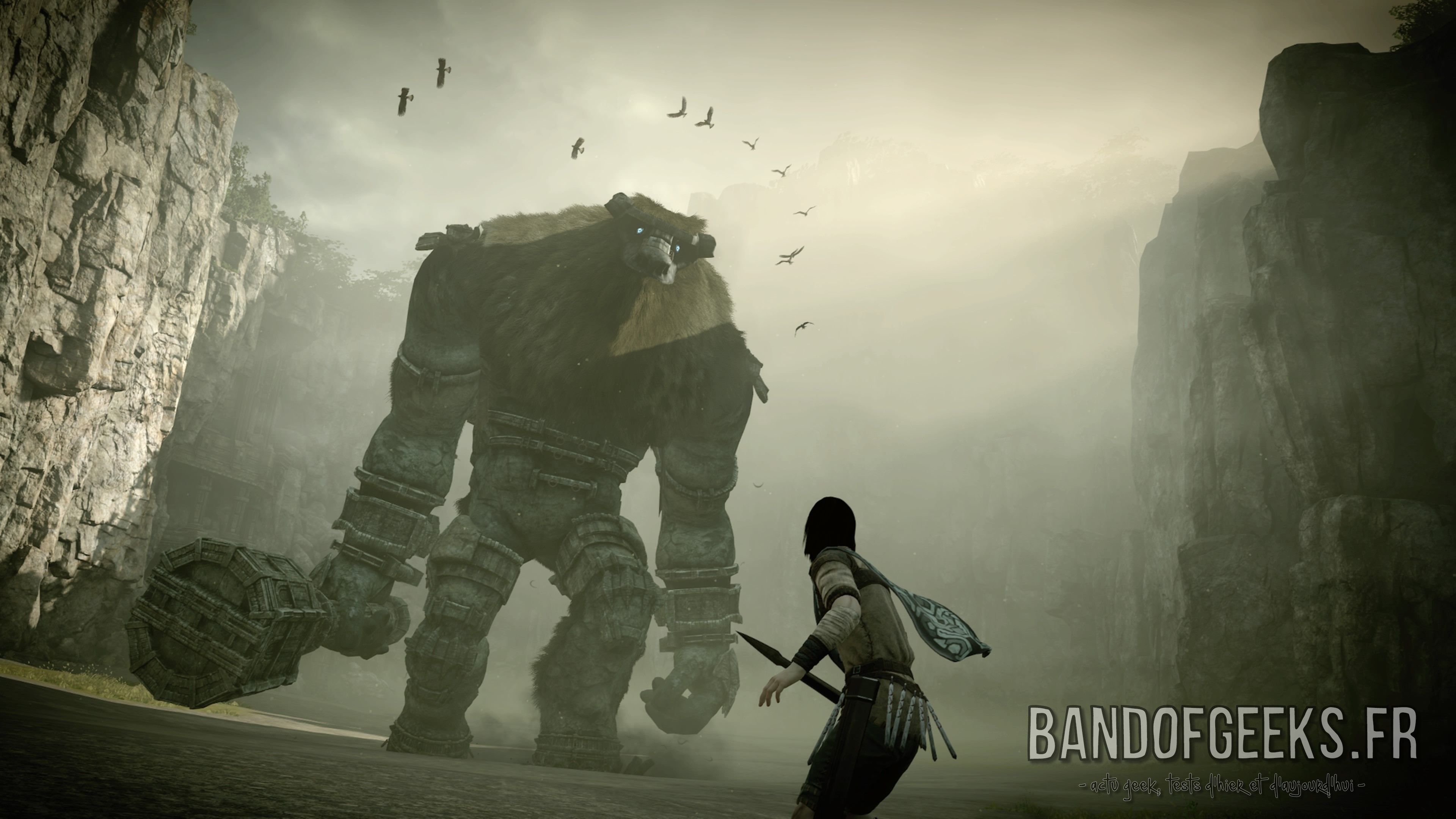 Shadow of the Colossus Wander devant le premier colosse