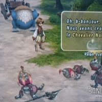 Journal Nostalgie Final Fantasy Crystal Chronicles Lilties battus par le Chevalier Noir