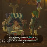 Breath of the Wild Link discute avec Terry