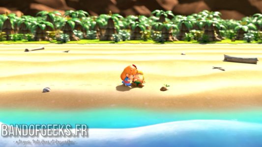 Link's Awakening Marine découvre Link sur la plage